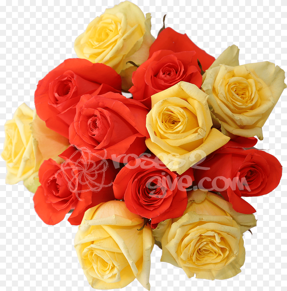 Orange Combinationtitle Yellow Floribunda, Flower, Flower Arrangement, Flower Bouquet, Plant Free Png