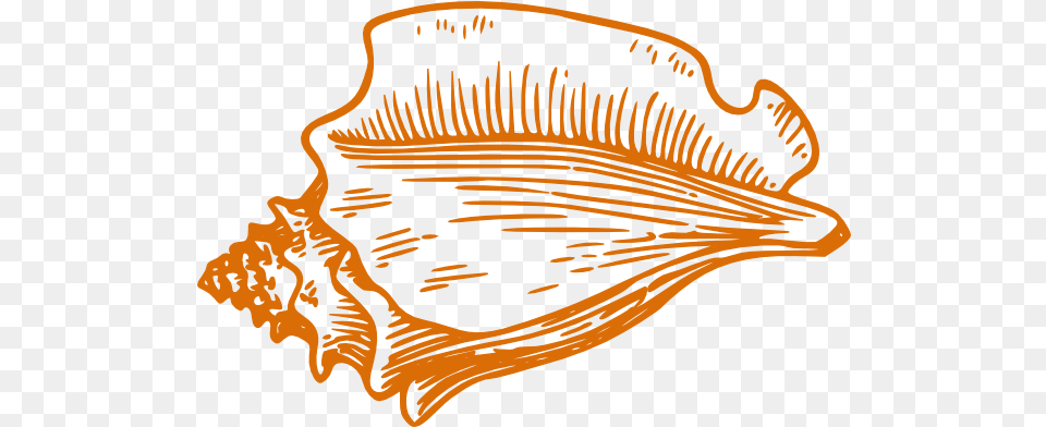 Orange Conch Shell Clip Art Vector Clip Art Conch Shell Clipart, Animal, Invertebrate, Sea Life, Seashell Png Image