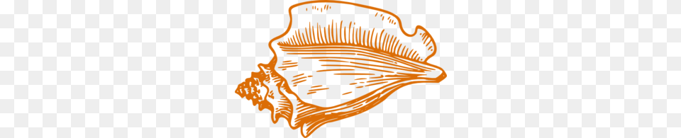 Orange Conch Shell Clip Art Zens Tattoo, Animal, Invertebrate, Sea Life, Seashell Free Png Download