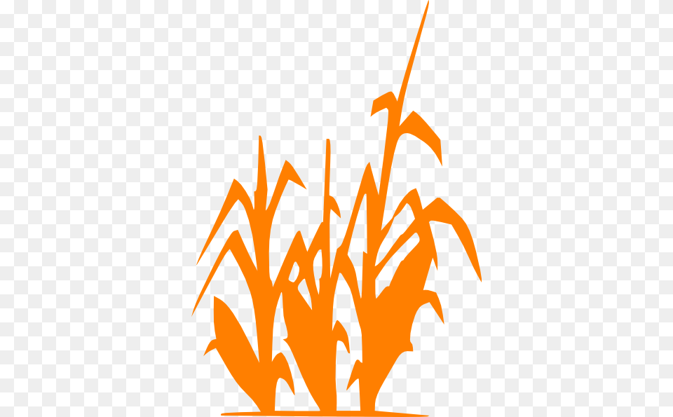 Orange Corn Clip Art, Grass, Plant, Leaf, Food Png Image