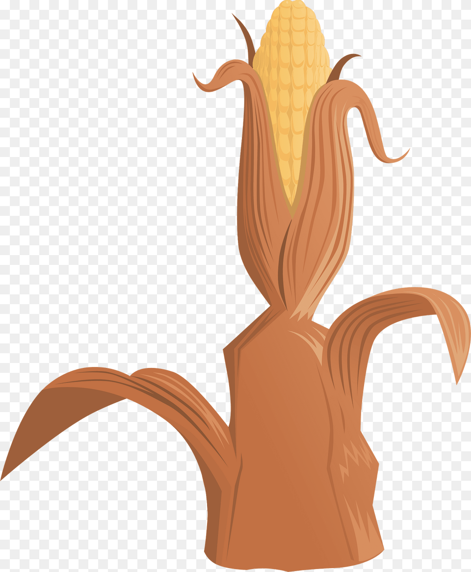 Orange Corn Clipart, Food, Grain, Plant, Produce Png Image