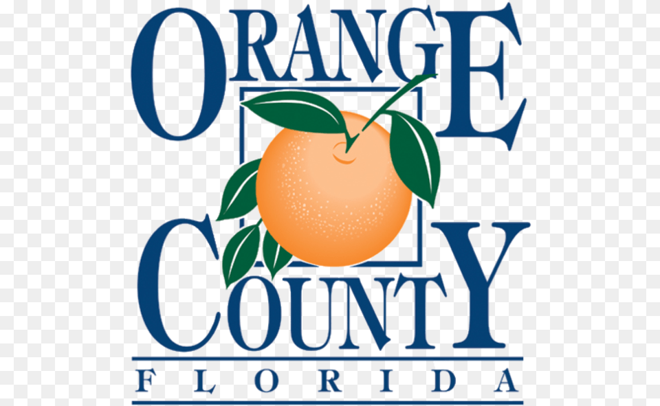 Orange County Fl Seal, Citrus Fruit, Food, Fruit, Plant Free Png Download