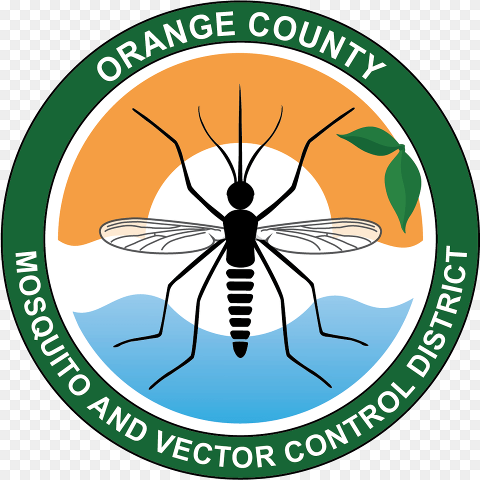 Orange County Vector Control, Animal, Insect, Invertebrate, Mosquito Free Png