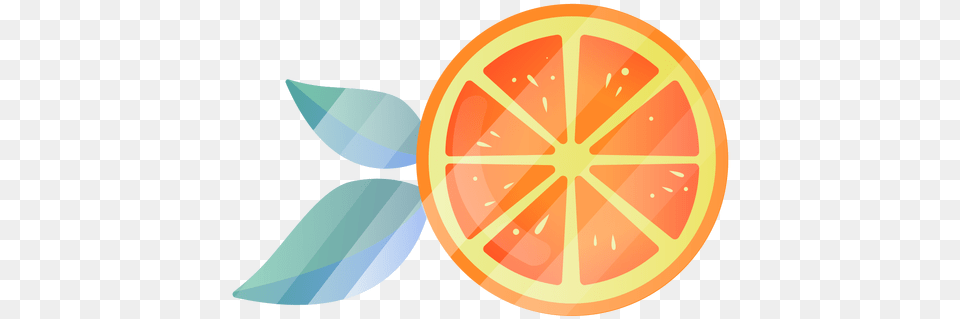 Orange Cute Illustration Transparent U0026 Svg Vector File Paint Tool Sai 2 Ico, Citrus Fruit, Food, Fruit, Grapefruit Free Png