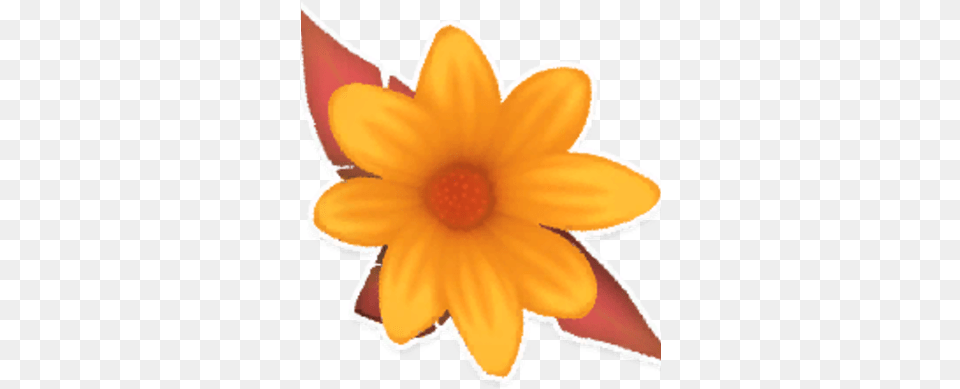 Orange Daisy Garden Paws Wiki Fandom Susan, Anther, Plant, Petal, Flower Free Png