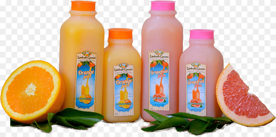 Orange Drink, Beverage, Plant, Juice, Grapefruit Png Image