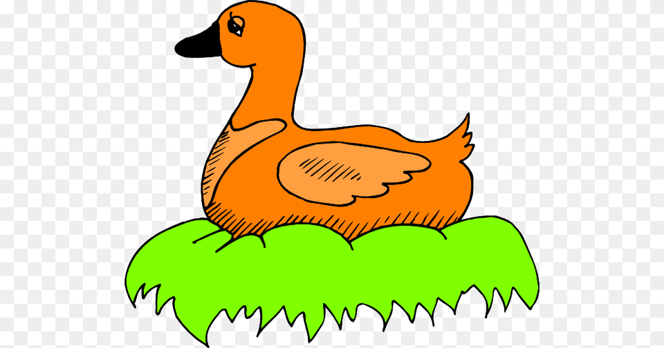 Orange Duck In Nest Clip Art, Animal, Bird, Fish, Sea Life Free Transparent Png