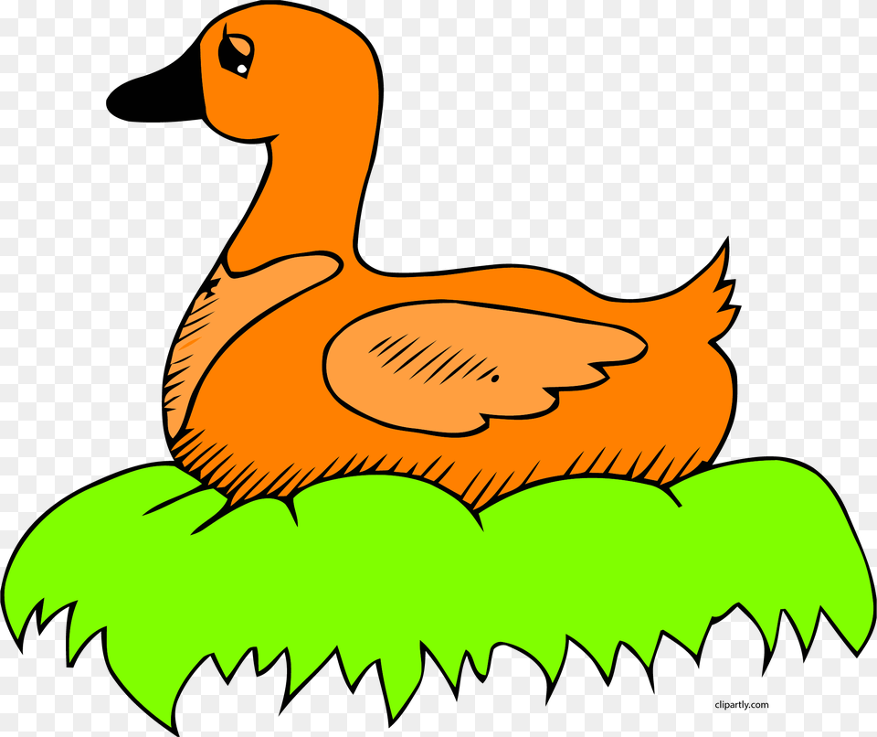 Orange Duck In Nest Clip Art Clipart Duck On The Nest Clipart, Animal, Bird, Fish, Sea Life Png