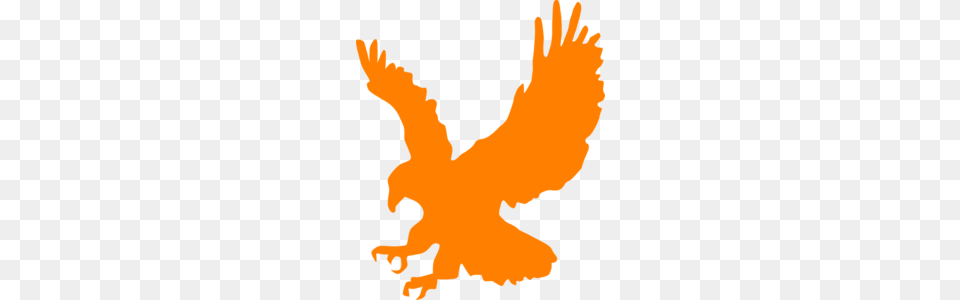 Orange Eagle Clip Art, Baby, Person, Animal, Bird Free Transparent Png