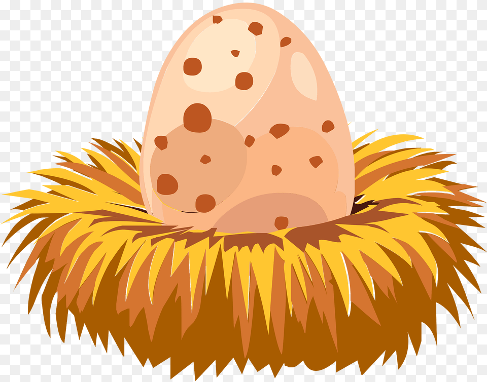 Orange Egg Nest Clipart, Animal, Bear, Mammal, Wildlife Free Transparent Png