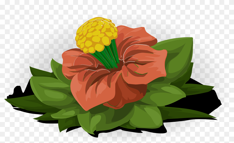 Orange Fantasy Flower Clipart, Plant, Dahlia, Hibiscus, Flower Arrangement Free Png Download