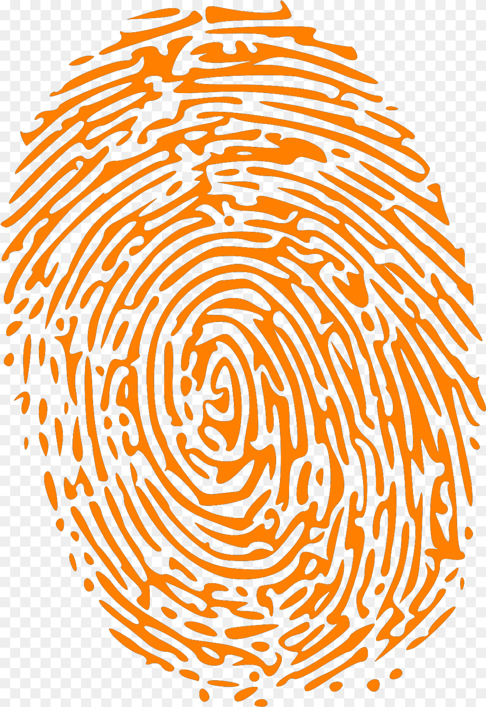 Orange Fingerprint Svg Vector Clip Art Transparent Forensic Science Clipart, Nature, Outdoors, Spiral, Person Free Png