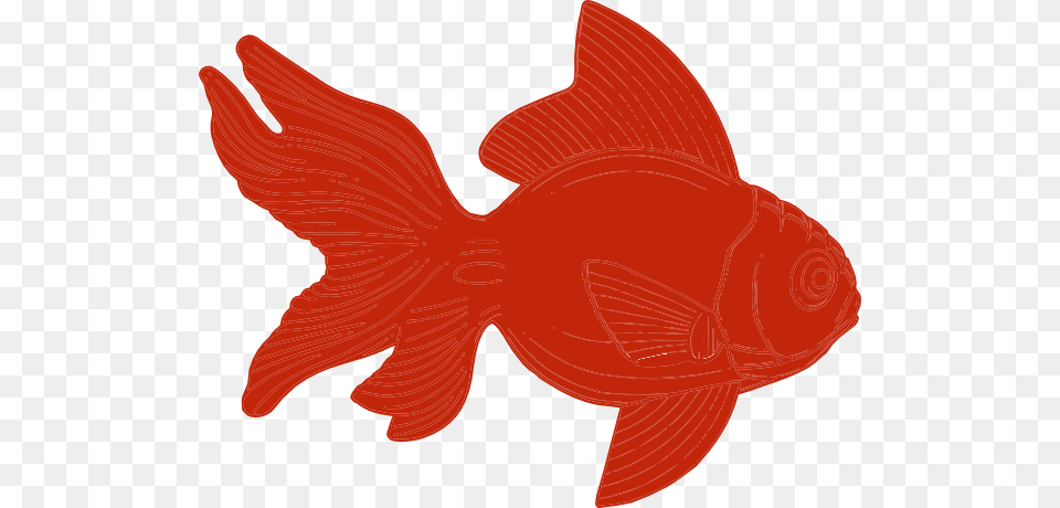 Orange Fish Clipart Clip Art, Animal, Sea Life, Goldfish, Shark Png Image