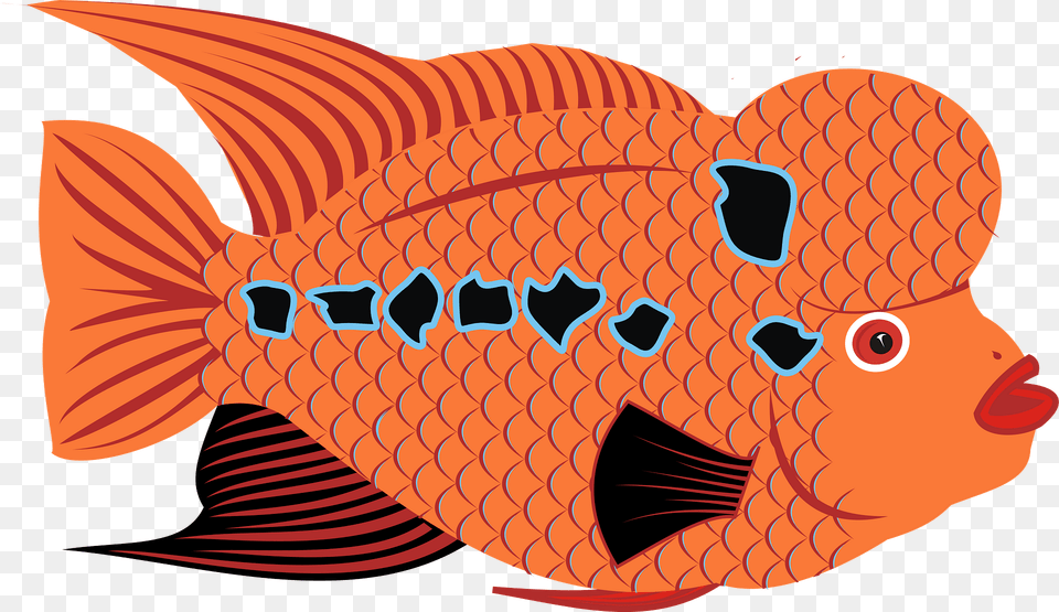 Orange Fish With Black Spots Clipart, Animal, Sea Life, Baby, Person Png Image