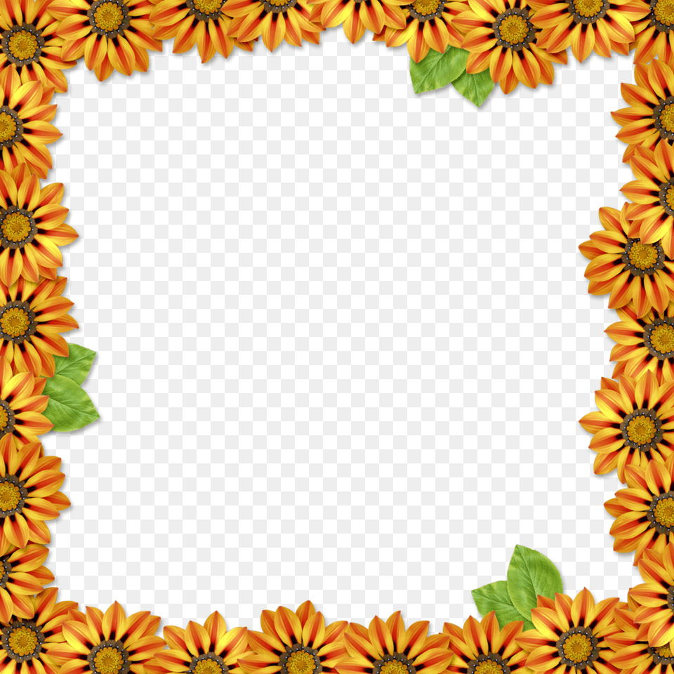 Orange Floral Border High Quality Gicledruk Frida Muerta By Abril Andrade, Flower, Plant, Sunflower, Petal Png