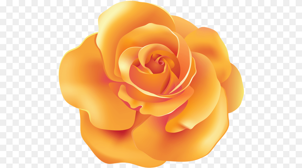 Orange Flower Art Clip, Petal, Plant, Rose Png Image