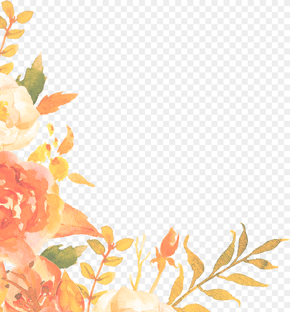 Orange Flower Border Peach Floral Border, Art, Floral Design, Graphics, Pattern Free Png