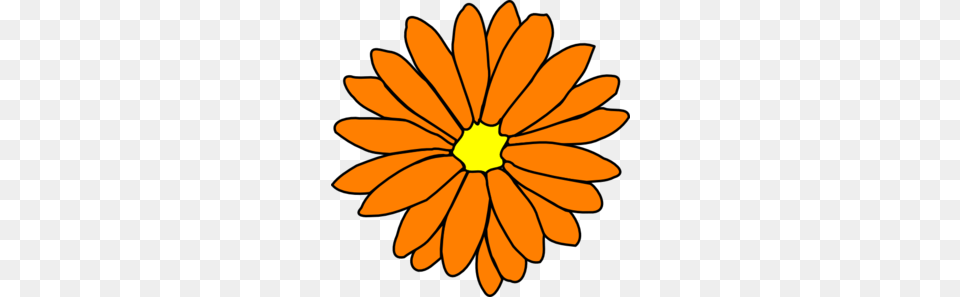 Orange Flower Clip Art, Daisy, Petal, Plant, Dahlia Free Png Download