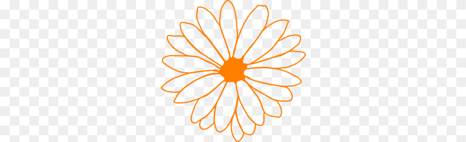 Orange Flower Clip Art, Daisy, Plant, Pattern, Floral Design Free Png