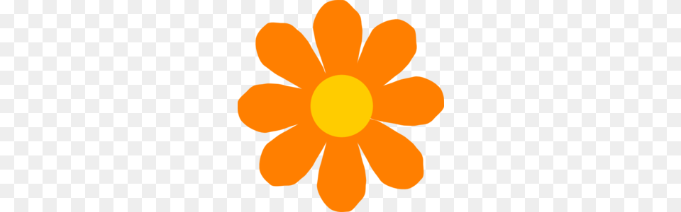 Orange Flower Clip Art, Anemone, Daisy, Petal, Plant Free Png Download