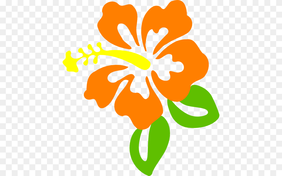 Orange Flower Clip Art, Plant, Hibiscus, Anther Png Image