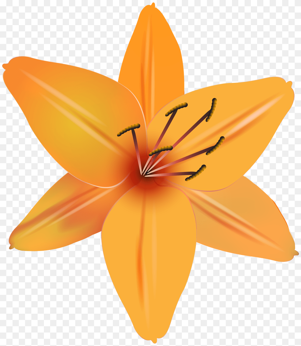 Orange Flower Clip Art, Plant, Anther, Lily, Electrical Device Png Image