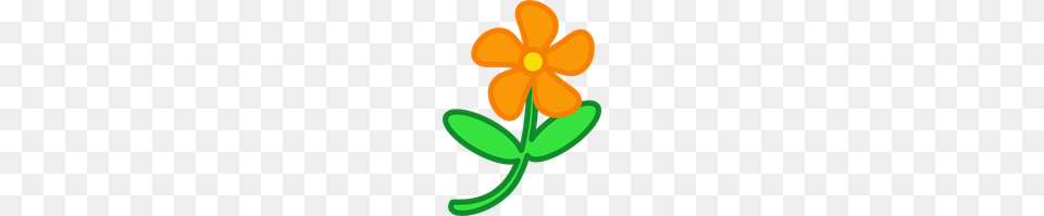 Orange Flower Clip Art For Web, Anemone, Petal, Plant, Anther Png Image