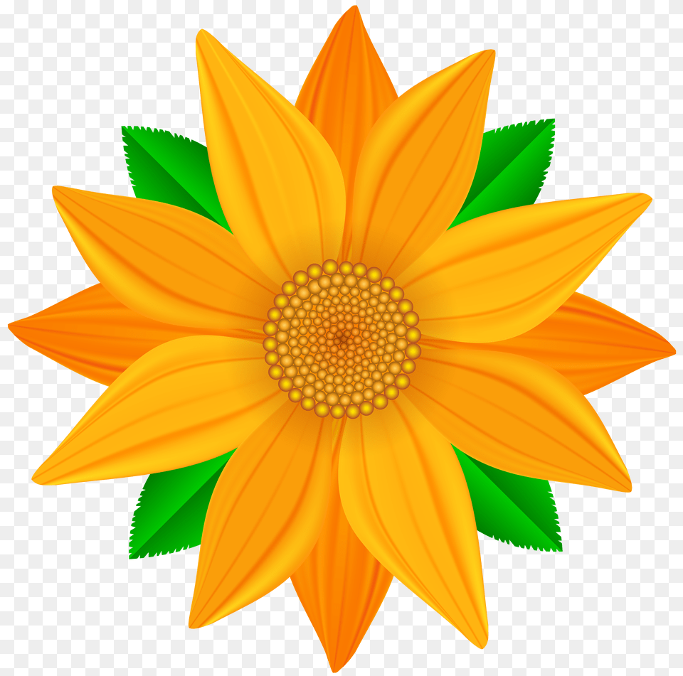 Orange Flower Clip Art Gallery Free Png Download