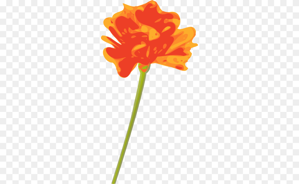 Orange Flower Clip Art Vector, Anther, Petal, Plant, Carnation Free Transparent Png