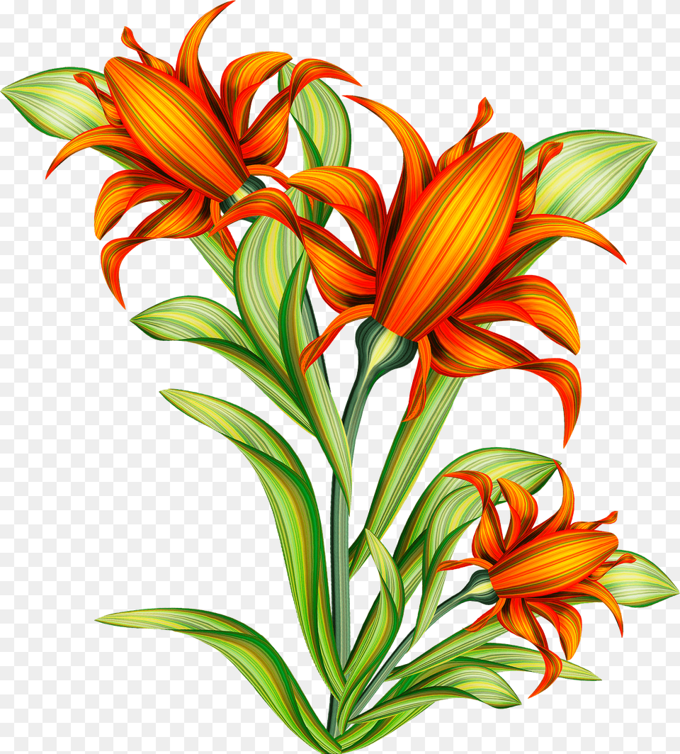 Orange Flower Clipart, Art, Floral Design, Graphics, Pattern Free Transparent Png