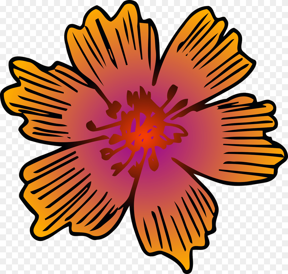 Orange Flower Clipart, Anther, Petal, Plant, Hibiscus Png Image