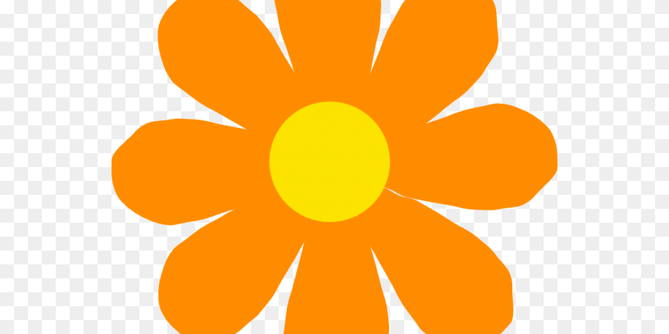 Orange Flower Clipart, Sun, Sky, Daisy, Plant Free Png