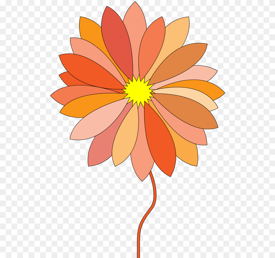 Orange Flower Clipart Cartoon Vector, Dahlia, Daisy, Petal, Plant Free Png Download