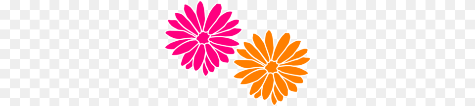 Orange Flower Clipart Colorful Flower, Dahlia, Daisy, Plant, Petal Free Png