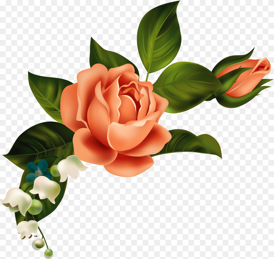 Orange Flower Clipart Corner Shawn Mendes Rose, Flower Arrangement, Flower Bouquet, Plant, Art Free Png