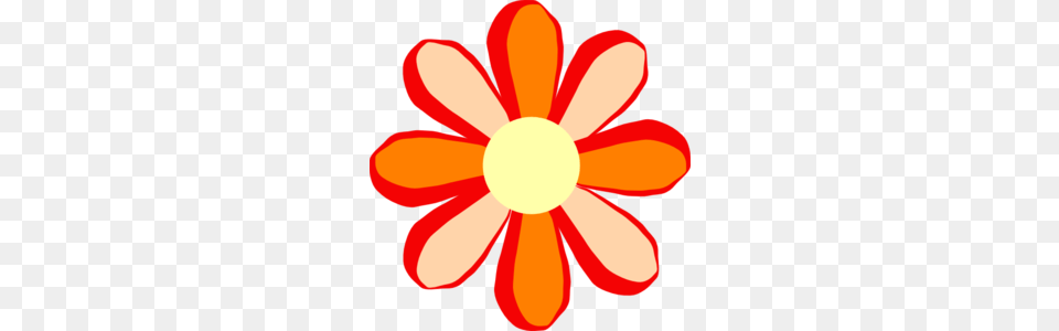 Orange Flower Clipart Flower Graphic, Daisy, Petal, Plant, Food Free Png Download