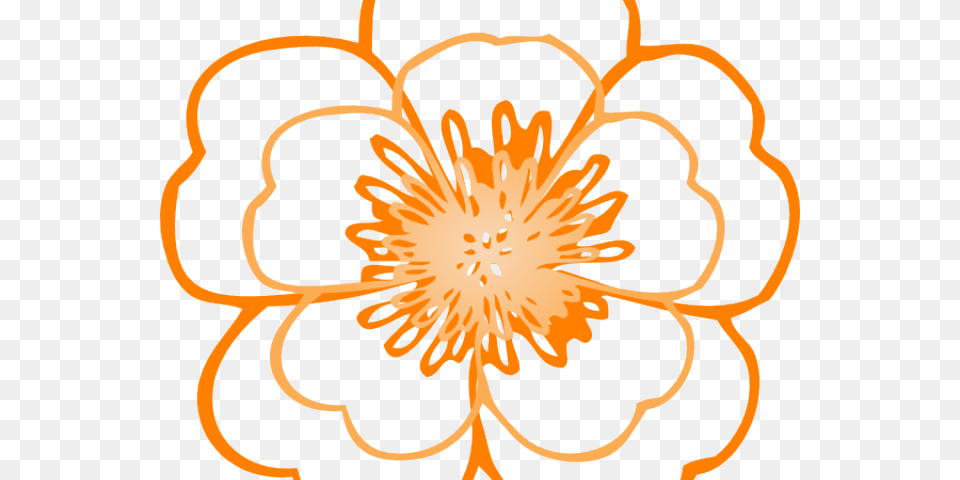 Orange Flower Clipart Flowre, Art, Floral Design, Graphics, Pattern Png