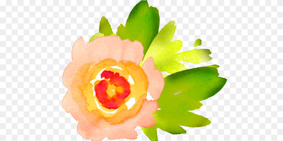 Orange Flower Clipart Individual Clip Art Watercolor Flower Background, Rose, Plant, Leaf, Petal Free Png Download
