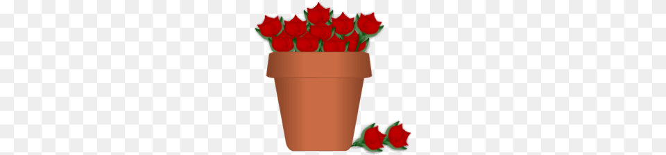 Orange Flower Clipart Red Flower, Plant, Rose, Jar, Potted Plant Free Png Download