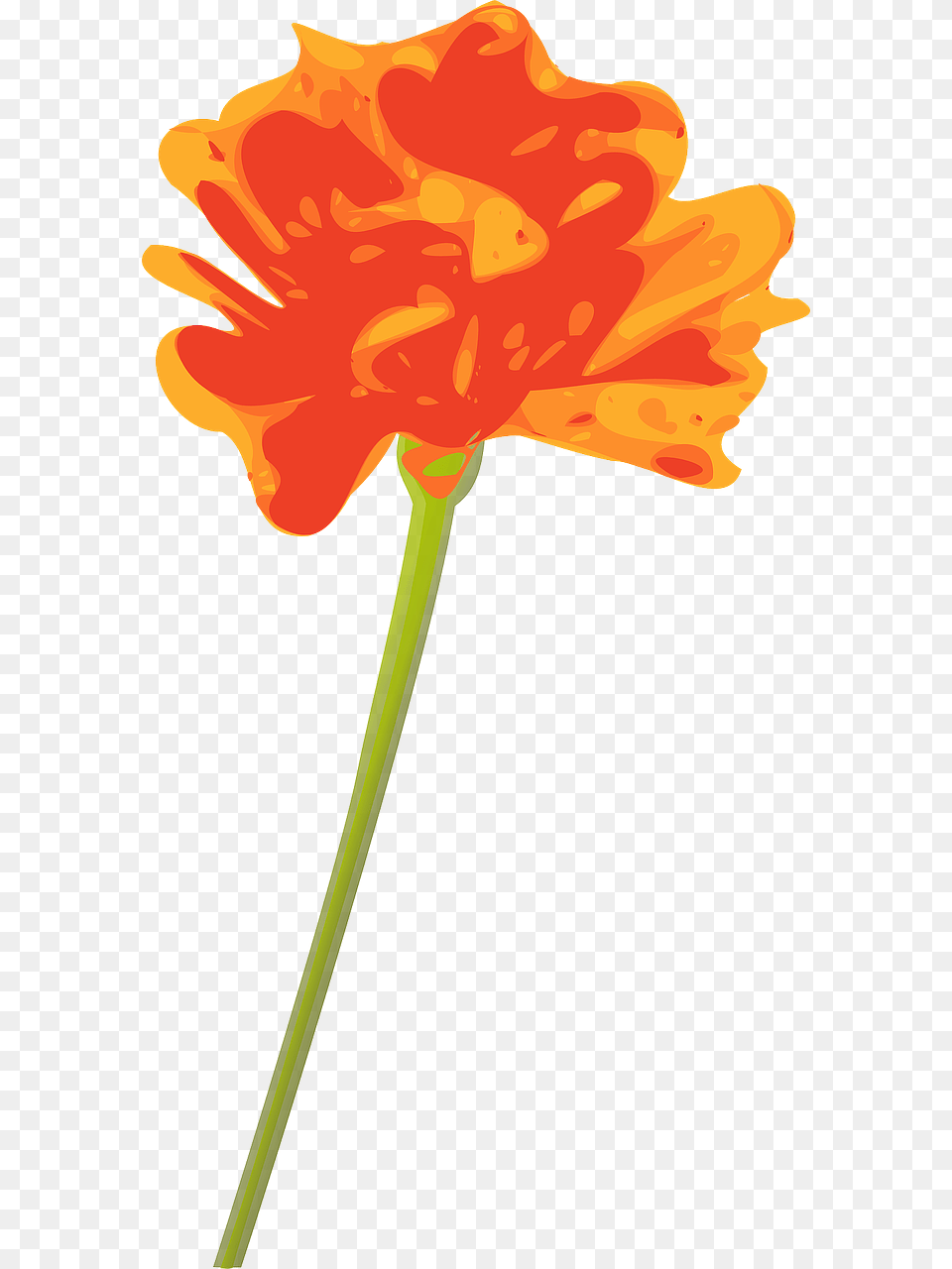 Orange Flower With Stem, Anther, Petal, Plant, Carnation Png Image