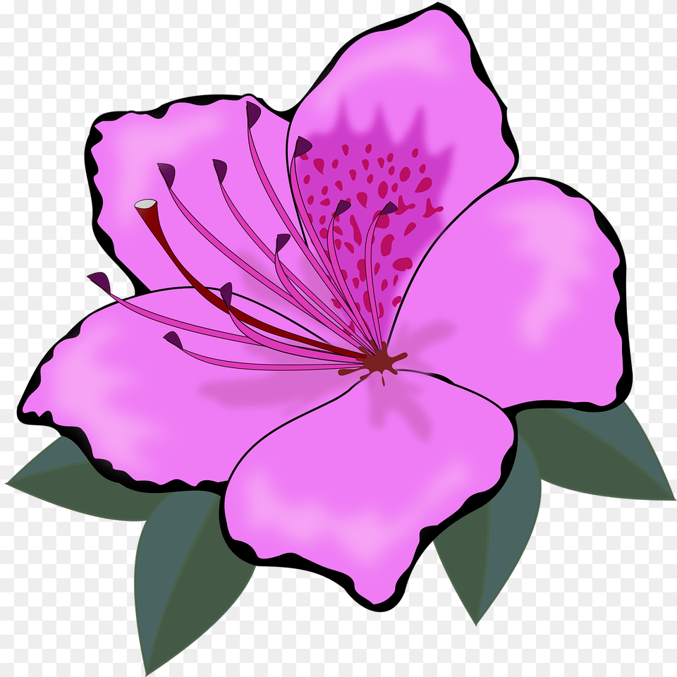 Orange Flowers Clip Art, Anther, Flower, Plant, Petal Free Png Download