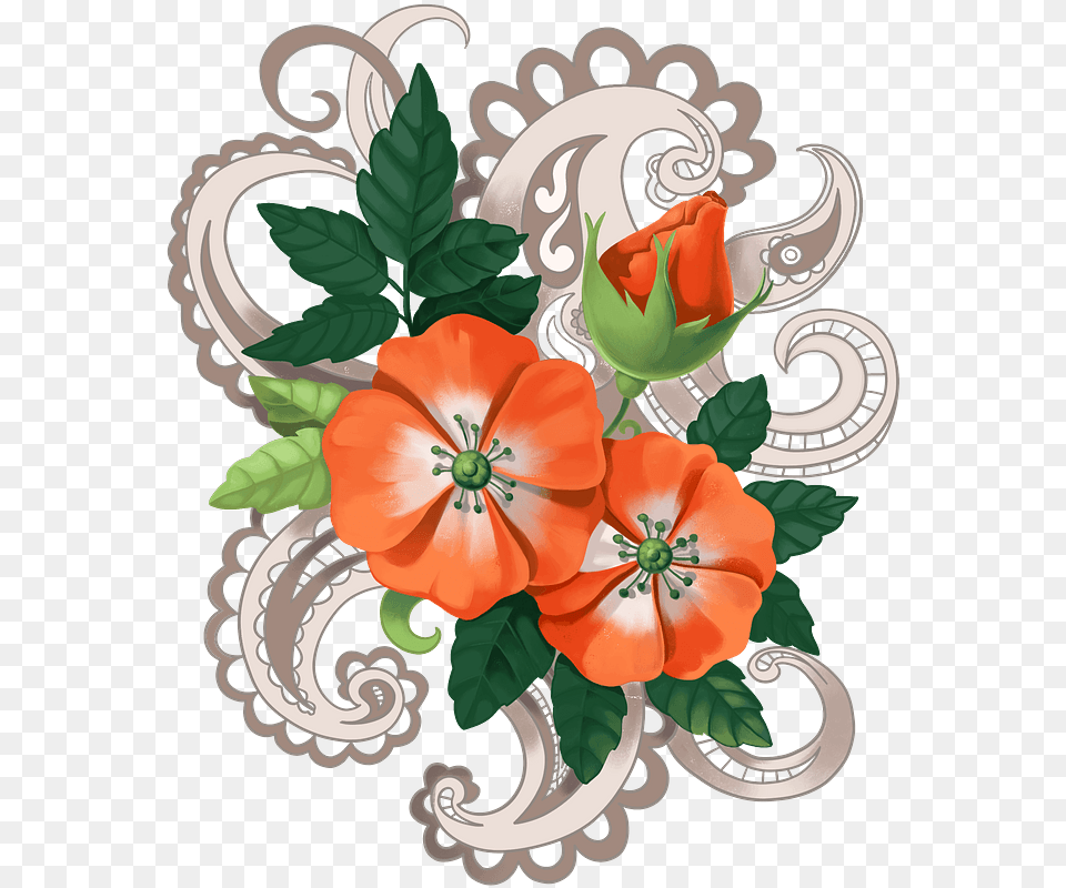 Orange Flowers Clipart Impatiens, Art, Floral Design, Graphics, Pattern Free Png
