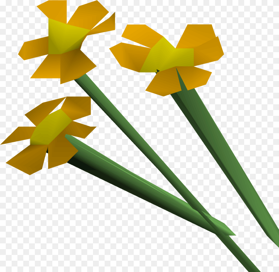 Orange Flowers Osrs Wiki Orange Flower Runescape, Daffodil, Plant Png Image