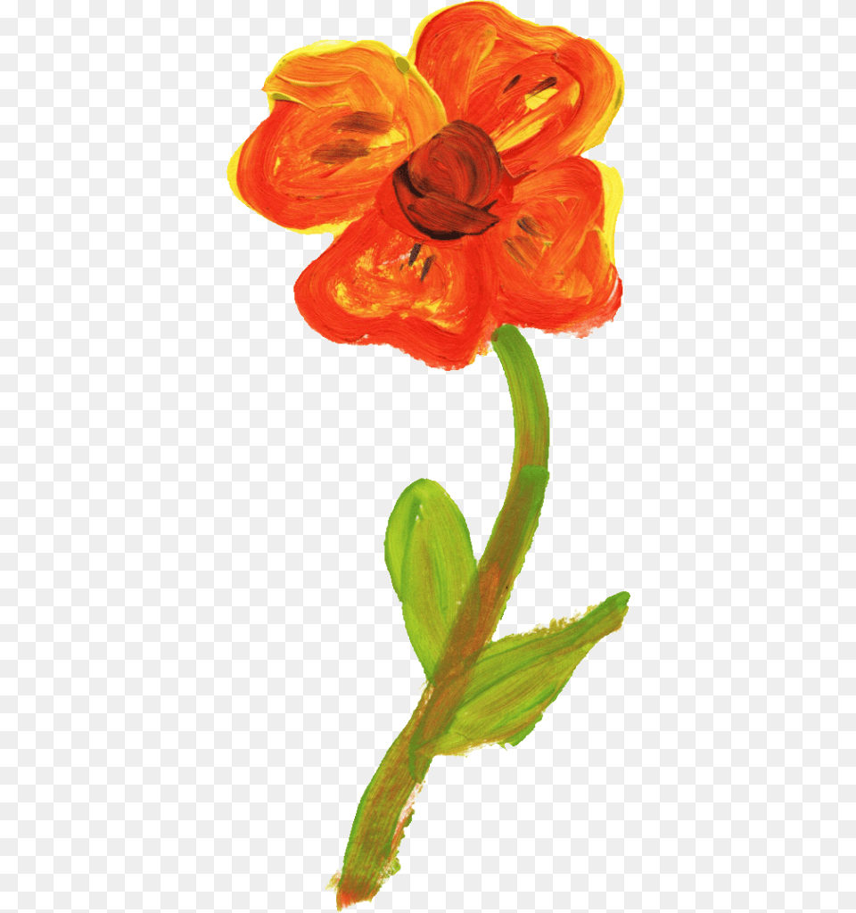 Orange Flowers Flower, Petal, Plant, Anther Free Transparent Png