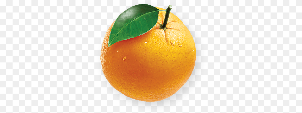Orange Freshness Which Rejuvenates Juice, Citrus Fruit, Food, Fruit, Grapefruit Free Png