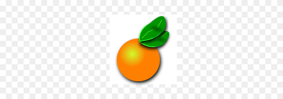 Orange Fruit Citrus, Citrus Fruit, Food, Plant, Produce Free Png Download