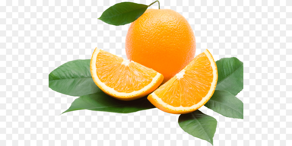 Orange Fruit Clipart Background Slimming Oil Pro Lab Sense, Citrus Fruit, Food, Plant, Produce Free Transparent Png