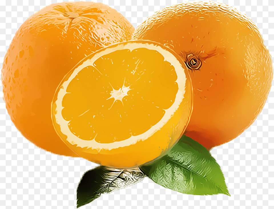 Orange Fruit Clipart Download Searchpng Clementine, Citrus Fruit, Food, Plant, Produce Png