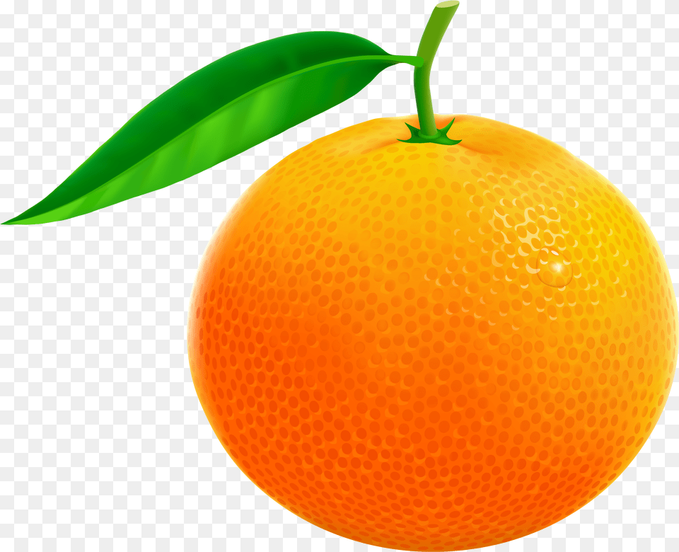 Orange Fruit Clipart Orange Images Clip Art, Citrus Fruit, Food, Grapefruit, Plant Free Transparent Png