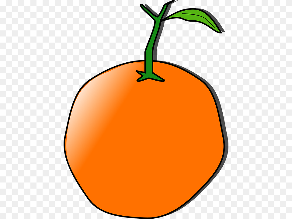 Orange Fruit Clipart Orange Tree Orange Clip Art, Food, Plant, Produce, Citrus Fruit Free Transparent Png